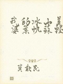 我的冰山美女老婆叶帆苏轻雪