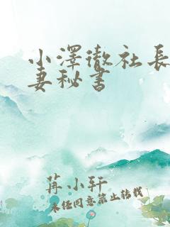 小泽彻社长与人妻秘书