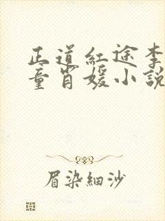 正道红途李初年童肖媛小说1376章