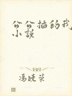 公公插的我好爽小说