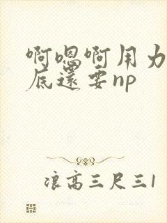啊嗯啊用力插到底还要np