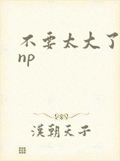 不要太大了高hnp