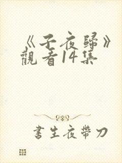 《子夜归》免费观看14集