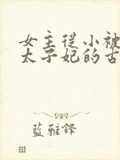 女主从小被定为太子妃的古言