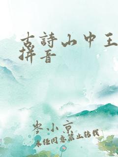 古诗山中王维带拼音