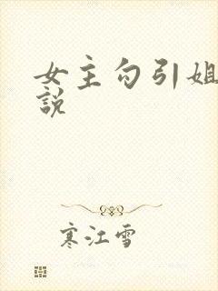 女主勾引姐夫小说