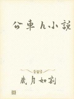公车 h小说