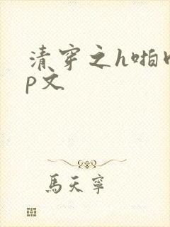 清穿之h啪肉np文