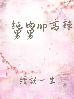 纯肉np高辣文男男