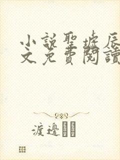 小说圣墟辰东全文免费阅读完整版