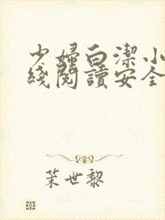 少妇白洁小说在线阅读安全