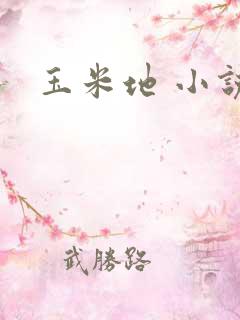 玉米地 小说