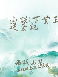 小说:下堂王妃逆袭记 小说:下堂王妃逆袭记