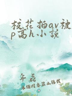 校花拍av被np高h小说