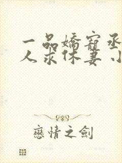 一品娇宠丞相大人求休妻 小说免费阅读完本