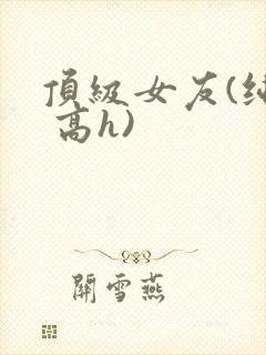 顶级女友(纯肉 高h)
