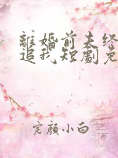 离婚前夫终是想追我短剧免费观看