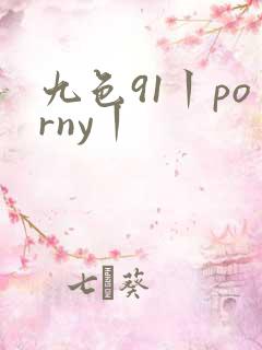 九色91丨porny丨