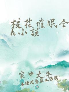 校花催眠全世界h小说