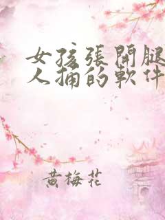 女孩张开腿让男人捅的软件