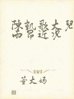 陈凯歌大儿子陈雨昂近况