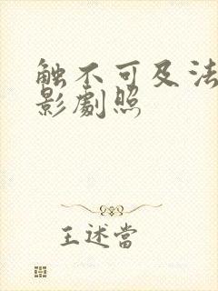 触不可及法国电影剧照