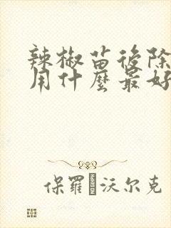 辣椒苗后除草剂用什么最好
