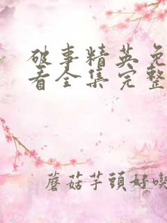破事精英免费观看全集完整版