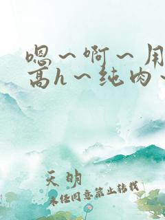 嗯～啊～用力～高h～纯肉～小说