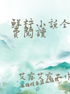 鲜柠小说全文免费阅读