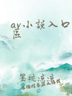 av小说入口一区