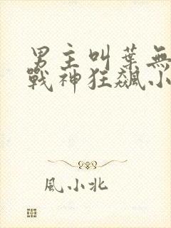 男主叫叶无缺的战神狂飙小说