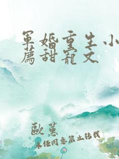 军婚重生小说推荐甜宠文