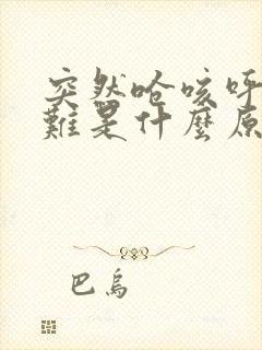 突然呛咳呼吸困难是什么原因