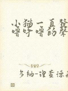 小猫一直发出呼噜呼噜的声音是什么原因