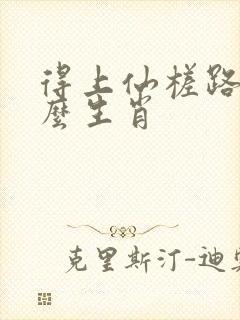 得上仙槎路指什么生肖