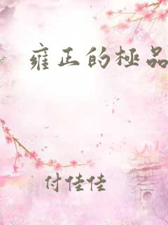 雍正的极品后宫