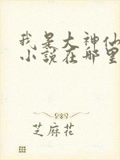 我是大神仙原著小说在哪里看