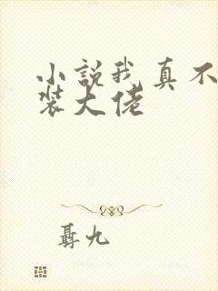 小说我真不是女装大佬