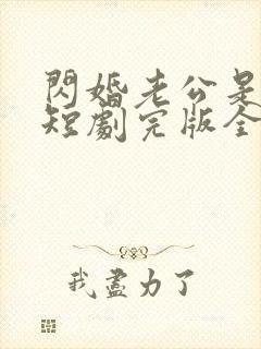 闪婚老公是总裁短剧完版全集