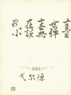 我在末世有套房小说无弹窗