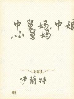 中舅妈,中娘舅,小舅妈