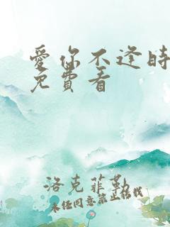 爱你不逢时短剧免费看