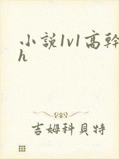 小说1v1高干h