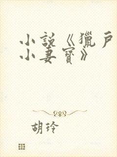 小说《猎户家的小妻宝》