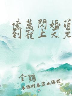 亿万闪婚萌妻嫁到宠上天免费