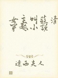 女主叫苏清和的穿越小说