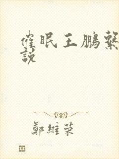 催眠王鹏系列小说