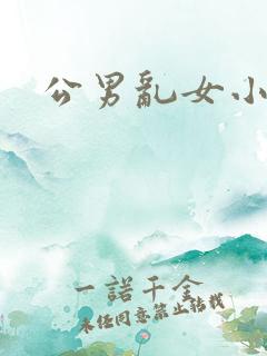 公男乱女小雄