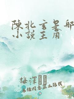 陈北玄是哪一部小说主角